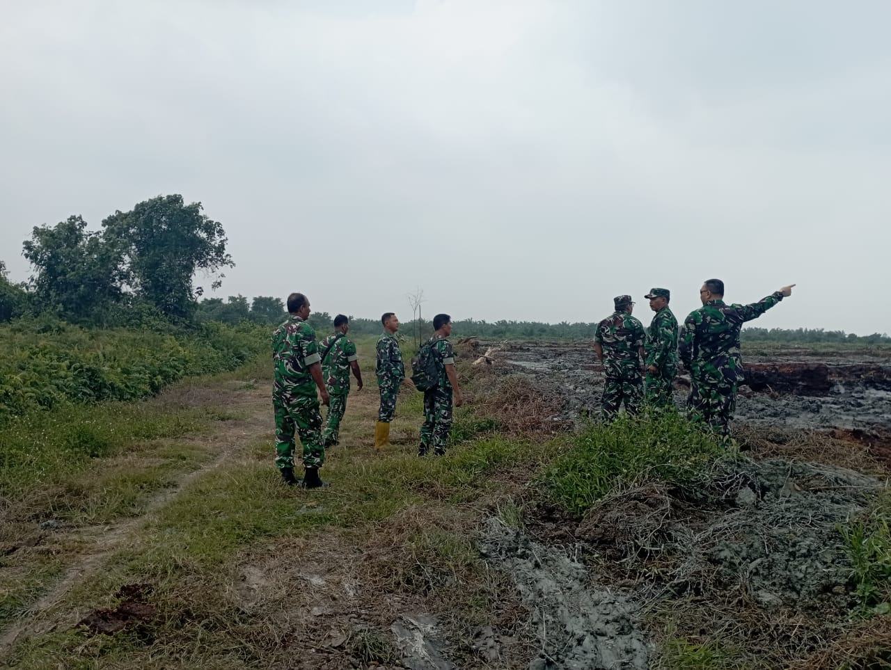 Tim Mabes TNI Tinjau Lahan Ex-Karhutla dan Cek Kanal serta Embung di Rokan Hilir